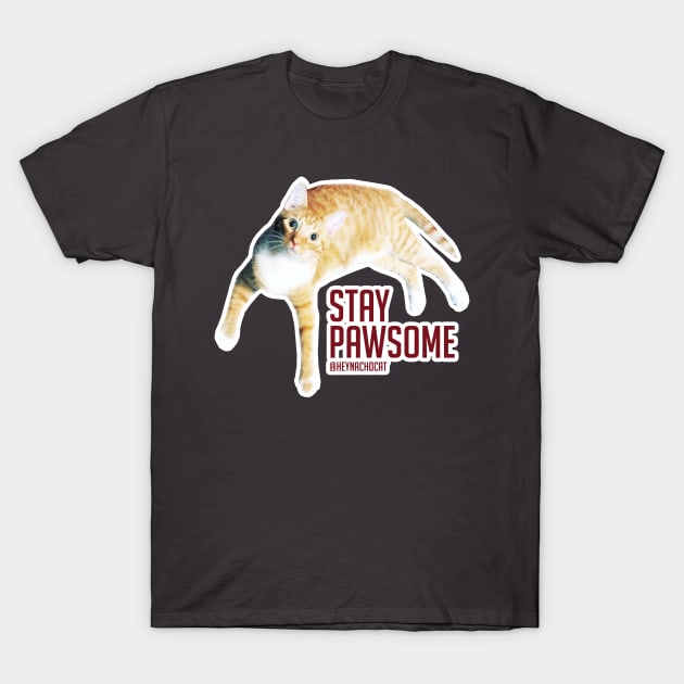 Stay Pawsome T-Shirt by VeryBear